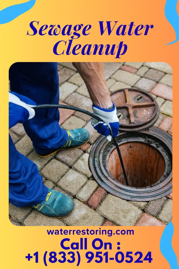 Sewage Water Cleanup in Old Forge, PA
