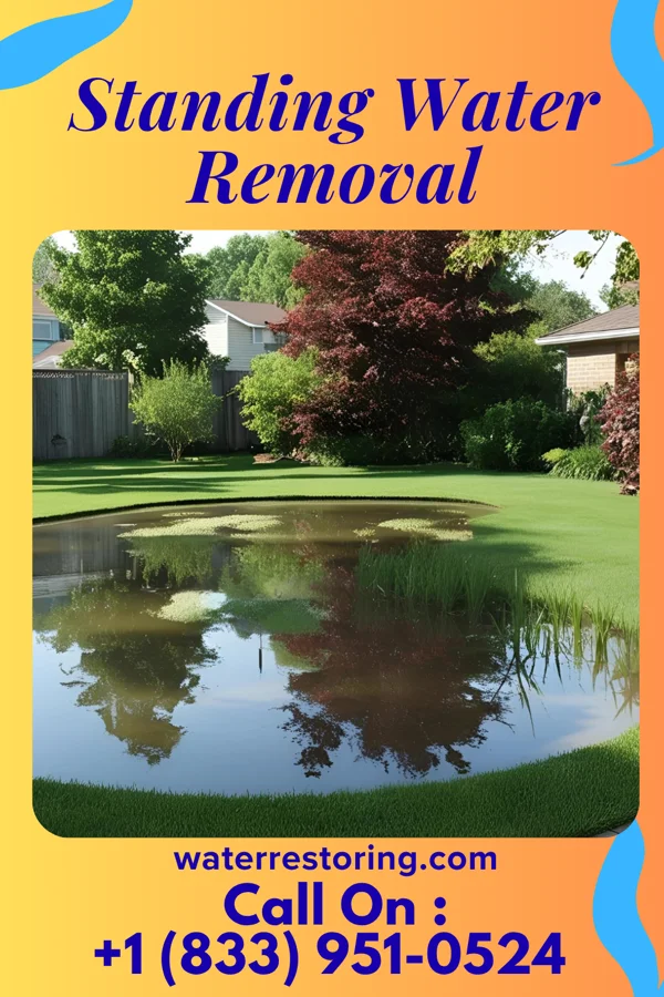 Standing Water Removal in Old Forge, PA